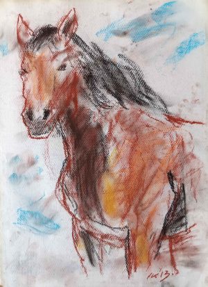 horse