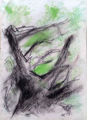 tree 7