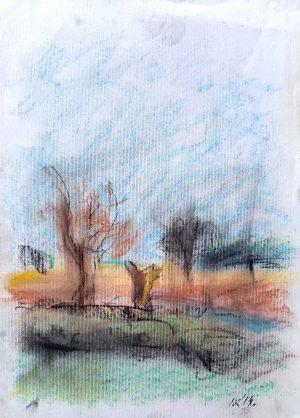 landscape 9